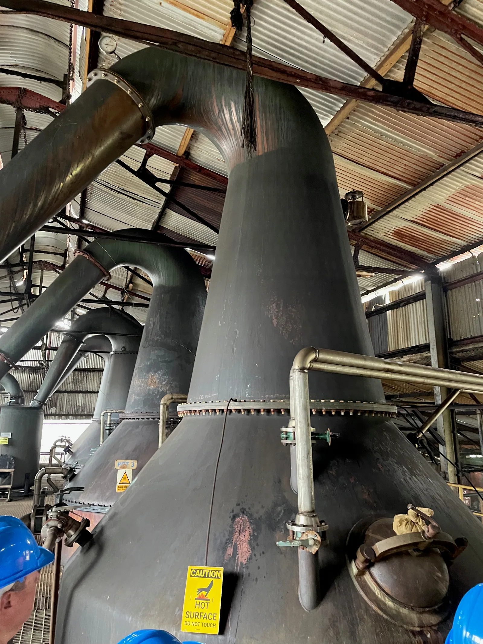 Several copper pot stills with swan necks in a bright distillery hall.